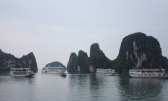 Đình chỉ thuyền trưởng cùng tàu du lịch tự ý cắt hành trình của khách ở Hạ Long