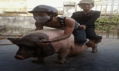 Cười té nghế khi xem những bức ảnh ngộ nghĩnh này