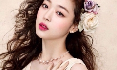 Đạo luật Sulli sẽ được đề xuất trước Quốc hội Hàn Quốc 