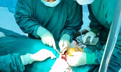 Cứu sống người đàn ông dùng dao cứa cổ tự sát