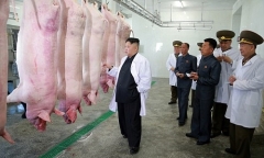 Kim Jong-un tươi cười khi thăm trang trại lợn của không quân
