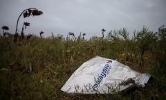 Vụ bắn rơi máy bay MH17 khiến gần 300 người chết: Ukraine bắt giữ người vận chuyển tên lửa