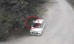 Clip: Táo tợn đập kính ô tô trộm tài sản ngay giữa ban ngày