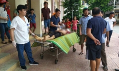 Trâu nặng 100 kg húc chết nhân viên thú y khi tiêm phòng