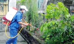 Hà Nội: 4 quận, huyện có chỉ số côn trùng sốt xuất huyết cao vượt ngưỡng