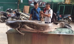 Tin tức thời sự 24h mới nhất ngày 3/8