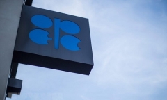 Tổng thống Trump cáo buộc OPEC thao túng thị trường dầu mỏ thế giới