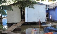 Hà Nội: 4 quận, huyện có chỉ số côn trùng sốt xuất huyết cao vượt ngưỡng