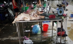 Thịt gà giá rẻ 