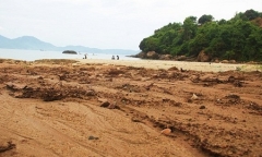 Chủ đầu tư trình giải pháp ngăn bùn đất đỏ từ dự án 'bạt núi' Sơn Trà tràn xuống biển