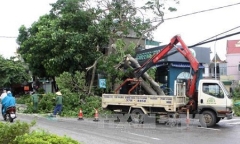 Công điện khắc phục hậu quả bão số 2