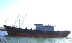 Xuất hiện 