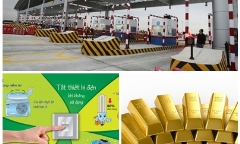 Chỉ đạo, điều hành của Chính phủ, Thủ tướng Chính phủ nổi bật tuần từ 7-11/8