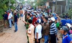 Nhiều người nhập viện do bị trâu