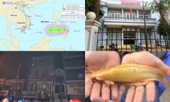 Tin tức thời sự 24h mới nhất ngày 9/1