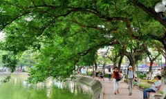 Chủ tịch Hà Nội: Chưa bao giờ Hà Nội nói thay cây xanh Hồ Gươm   