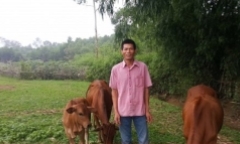 Vợ bỏ theo nhân tình, chồng chém dao vào tay vợ: Câu chuyện về sự tha thứ