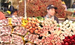 Nhộn nhịp chợ hoa trước ngày 20/10