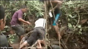 Video: Khiếp vía cảnh 6 người bắt trăn khổng lồ dài 8m, nặng 100kg