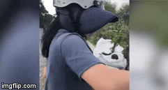 Clip: Người phụ nữ thản nhiên trộm cây cảnh ở Phú Mỹ Hưng giữa ban ngày khiến dân mạng phẫn nộ