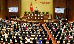 Quốc hội thảo luận Luật Sửa đổi, bổ sung một số điều của Bộ luật Hình sự