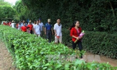 Kỷ niệm Ngày sinh Bác Hồ 19/5: Người dân mọi miền Tổ quốc hướng về Người