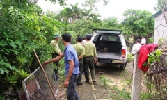 Xuất hiện khỉ