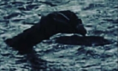 Nhà sử gia Anh tung bằng chứng chứng minh quái vật Loch Ness tồn tại