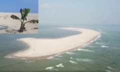 Đảo cát kỳ lạ bất ngờ xuất hiện ở biển Hội An, chuyên gia chưa thể lý giải