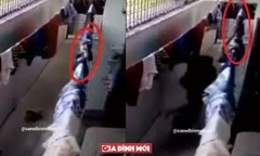 Video: Hoảng hồn rắn hổ mang ẩn mình trên dây phơi tấn công người đàn ông 