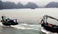 Làm rõ vụ 2 tàu truy đuổi nhau như