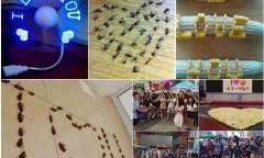 Muôn kiểu tỏ tình 'bá đạo' của sinh viên thời nay