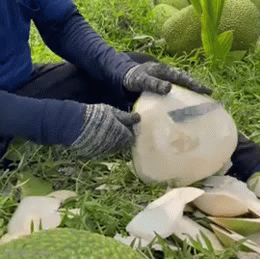 Anh chàng bổ dừa đơn giản như gọt bưởi, dân mạng thi nhau xin chỗ mua dao
