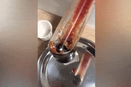 Video: Phát hiện giòi bò lúc nhúc trong tương cà