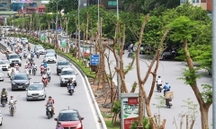 Hà Nội trồng 800.000 cây xanh dịp Tết Nguyên đán 2017