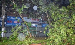 Quảng Ninh: Bão số 14 quật đổ tháp truyền hình Uông Bí