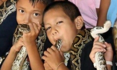 Bí ẩn ngôi làng, nơi người và rắn hổ mang là 