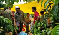 Vụ 3 bà cháu bị sát hại, phi tang xác tại Lâm Đồng: Nạn nhân cất giữ nhiều tiền vàng trong người