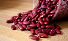 Nhiễm giun lươn lan tỏa, cụ ông 72 tuổi nguy cơ tử vong cao