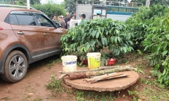 Cứu con gái 3 tuổi rơi xuống giếng, cả hai mẹ con cùng tử vong