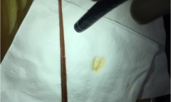 Bợm nhậu uống bia với mồi là 6 cây nhang và đá cẩm thạch