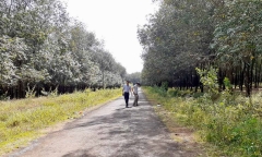 Tin tai nạn giao thông mới nhất ngày 20/42020: Xác định danh tính các nạn nhân trong vụ tai nạn ở Hải Dương