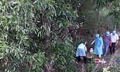 Phát hiện một phần thi thể người vướng trên bụi cây