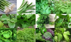 Những loại rau bà bầu không nên ăn khi mang thai 