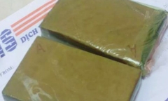 Cô gái trẻ bị bắt cùng 2 bánh heroin
