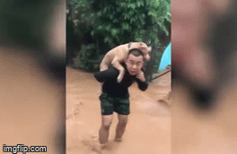 Video: Chú chó được cậu chủ cõng vượt lũ được dân mạng rần rần chia sẻ vì quá đáng yêu