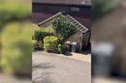 Ở nhà cách ly chán quá, người đàn ông 