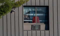 Phát hiện 17 thi thể trong viện dưỡng lão Mỹ và cuộc khủng hoảng do Covid-19
