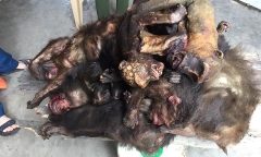 Tin tức pháp luật mới nhất ngày 20/12/2017