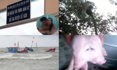 Tin tức thời sự mới nhất ngày 10/10